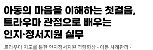 트라우마 지도를 통한 인지정서지원 역량향상